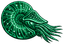 Nautilus
